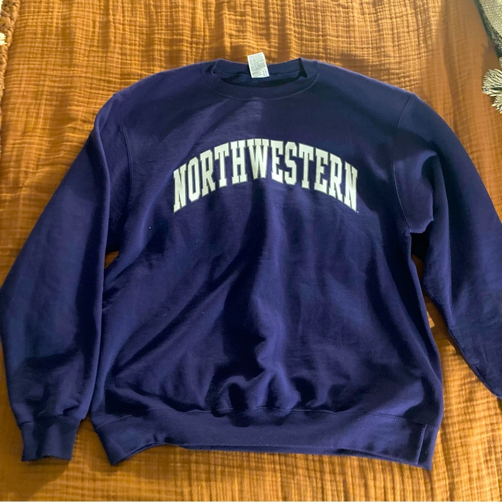 Champion Northwestern University Wildcats sweatshirt
